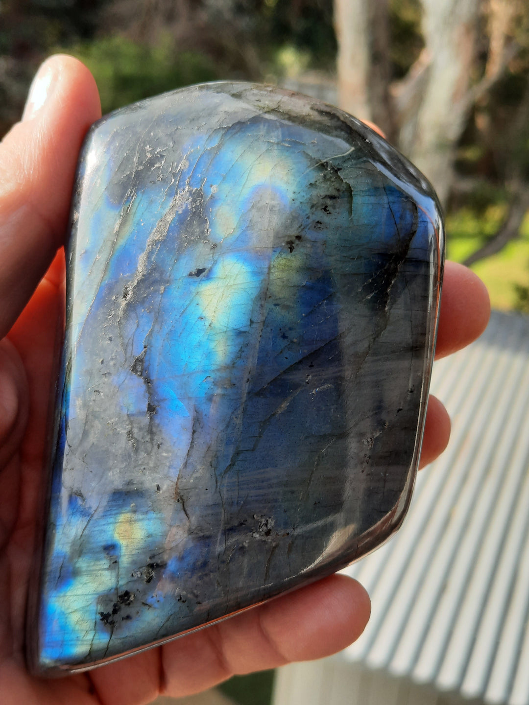 Labradorite Polished (392 grams) STZ02