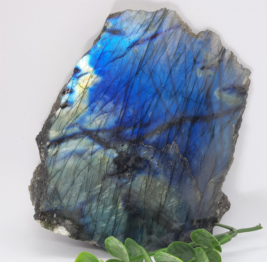 Labradorite (378 grams) STZ07