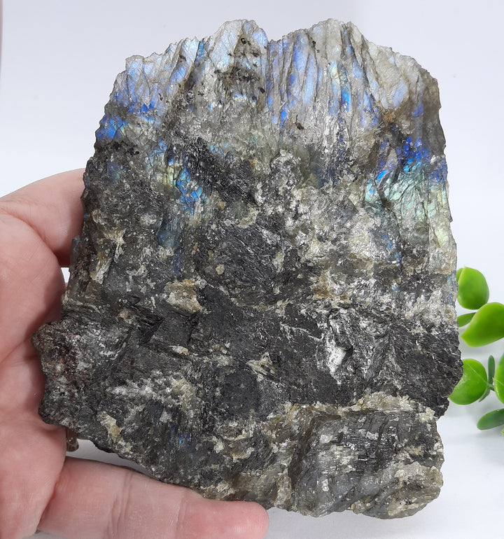 Labradorite (378 grams) STZ07