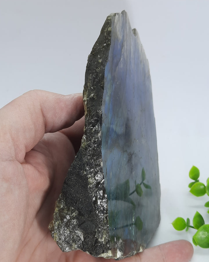 Labradorite (378 grams) STZ07