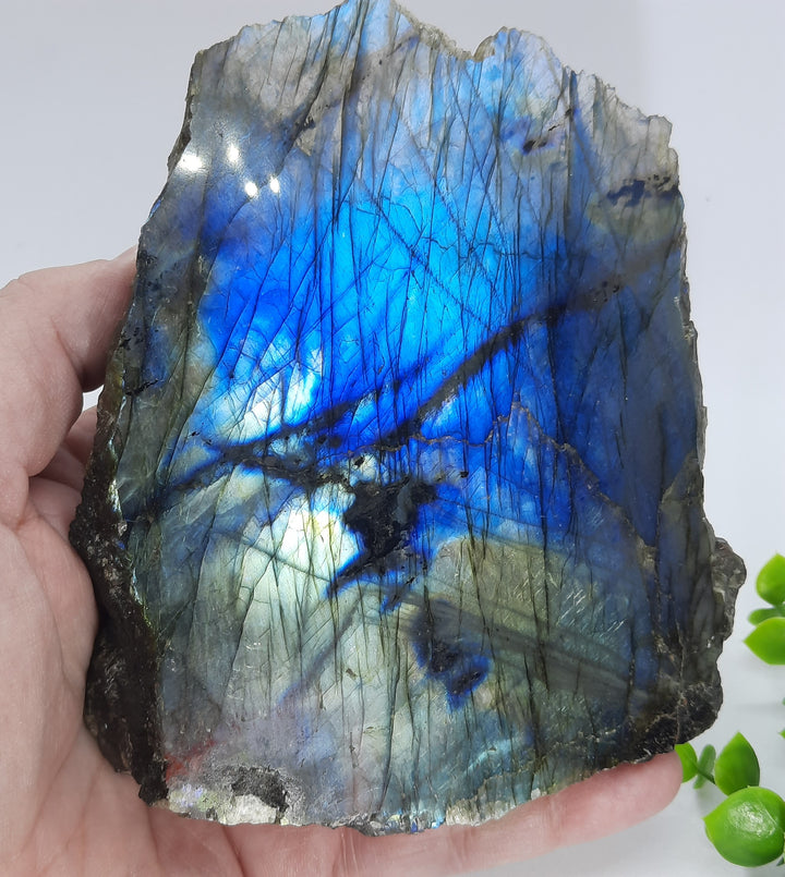 Labradorite (378 grams) STZ07