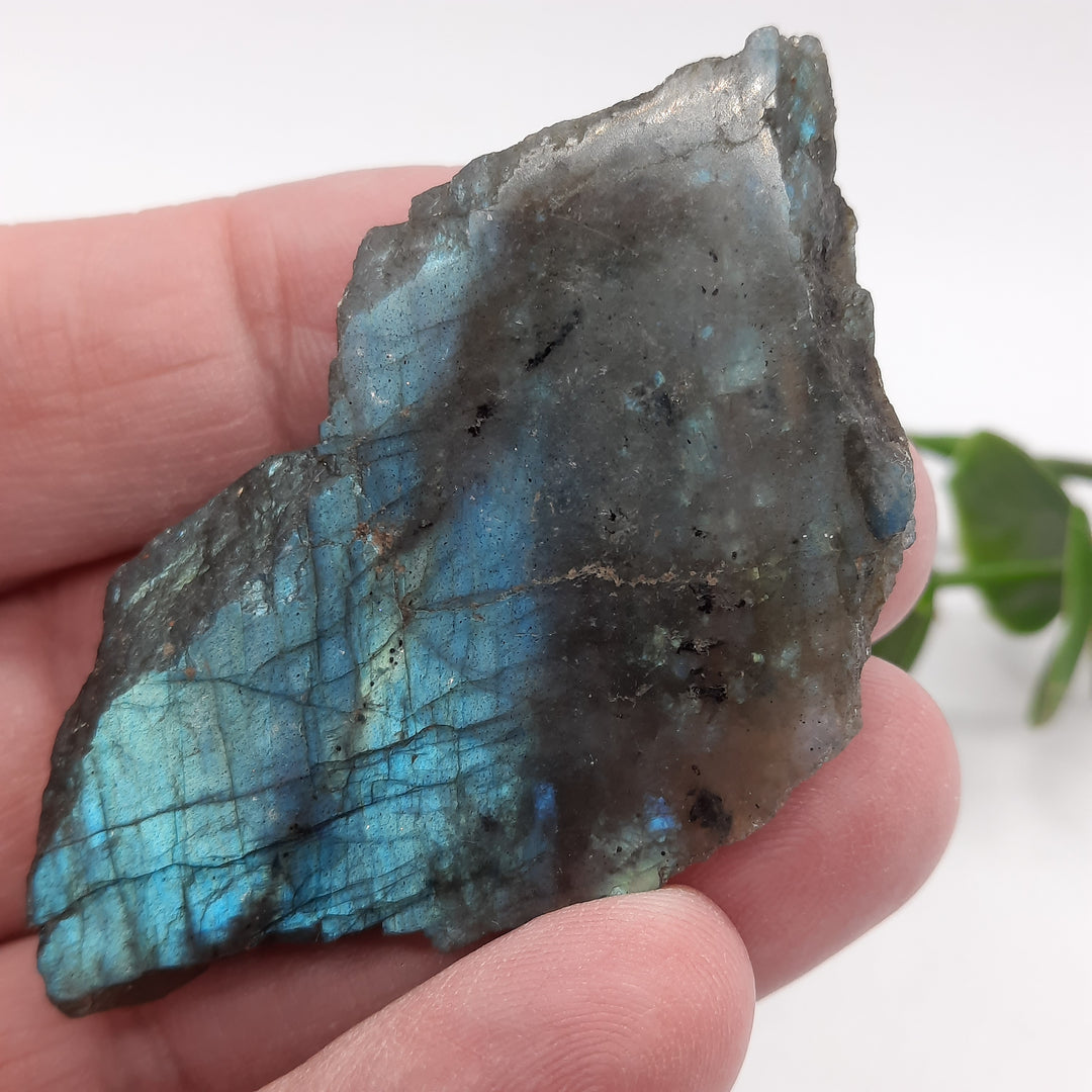 Labradorite (33 grams)