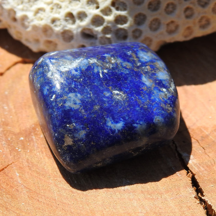 Lapis Lazuli Tumble Stone (18G) LPZ4