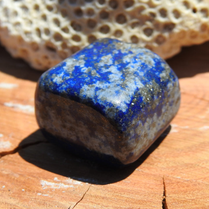 Lapis Lazuli Tumble Stone (25g) LPZ2