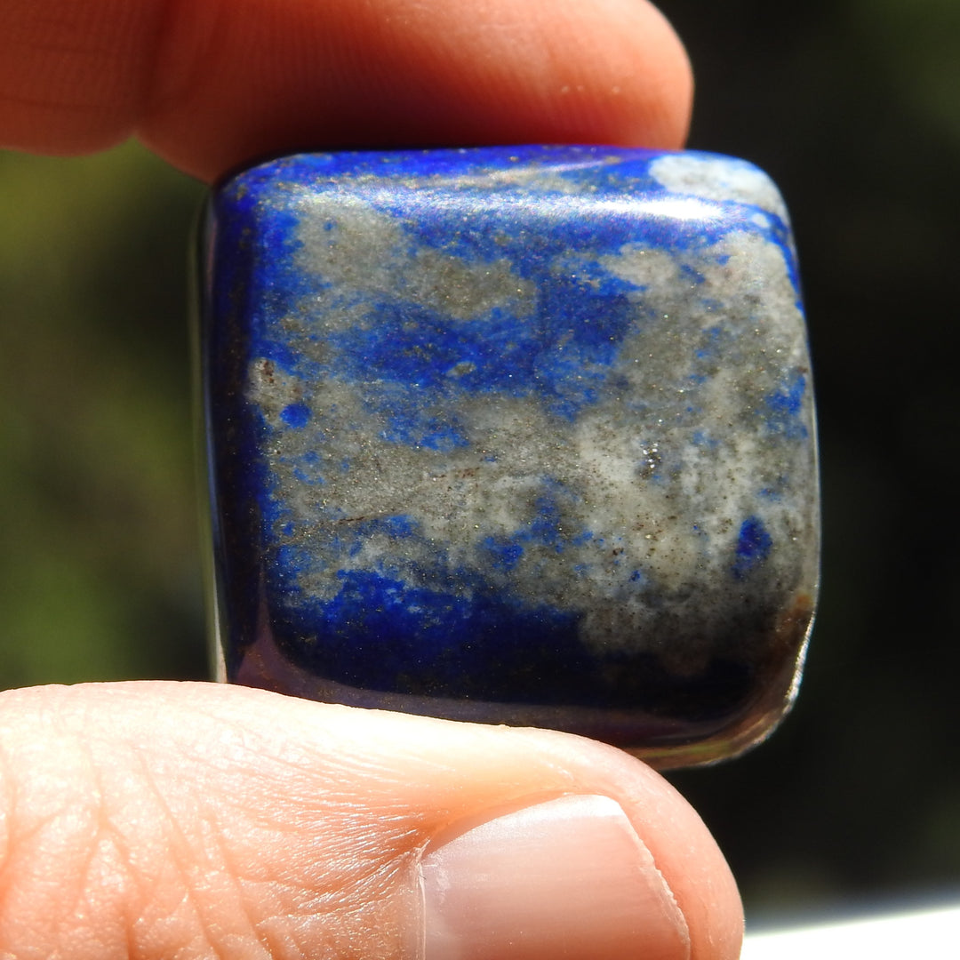 Lapis Lazuli Tumble Stone (25g) LPZ2