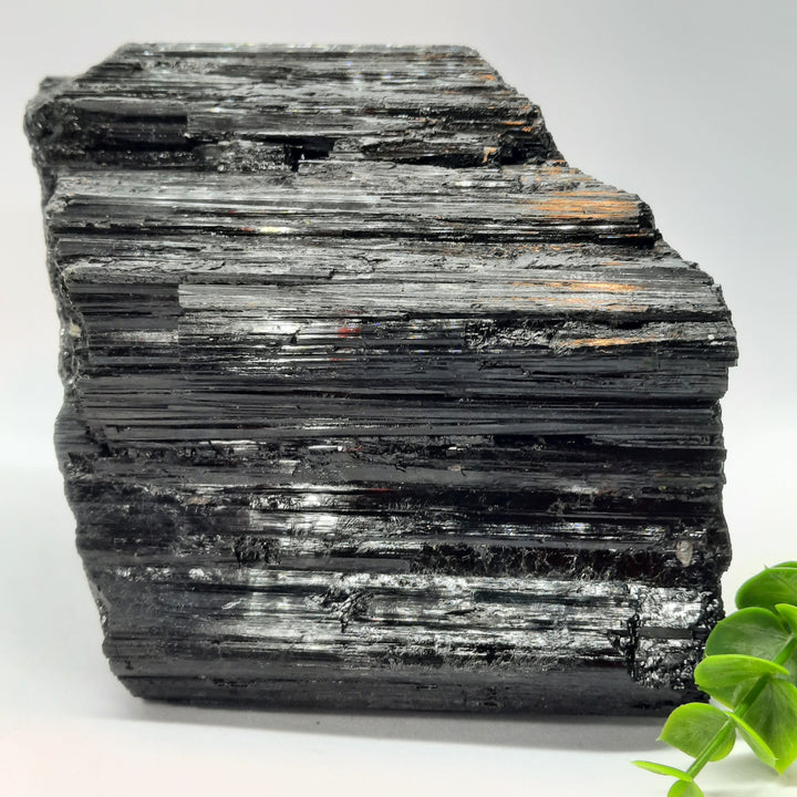 Black Tourmaline Large (2.377 Kilograms) STZ100