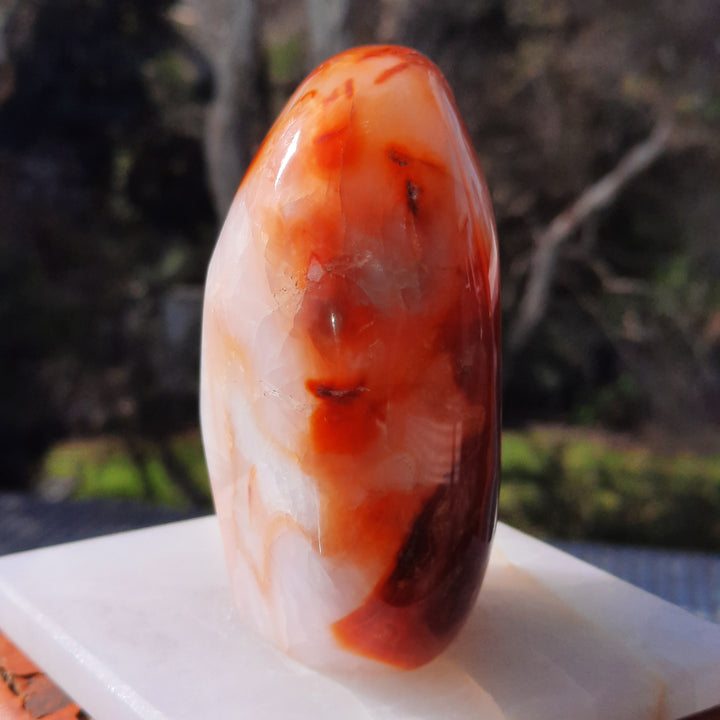 Carnelian (436 grams) STZ16