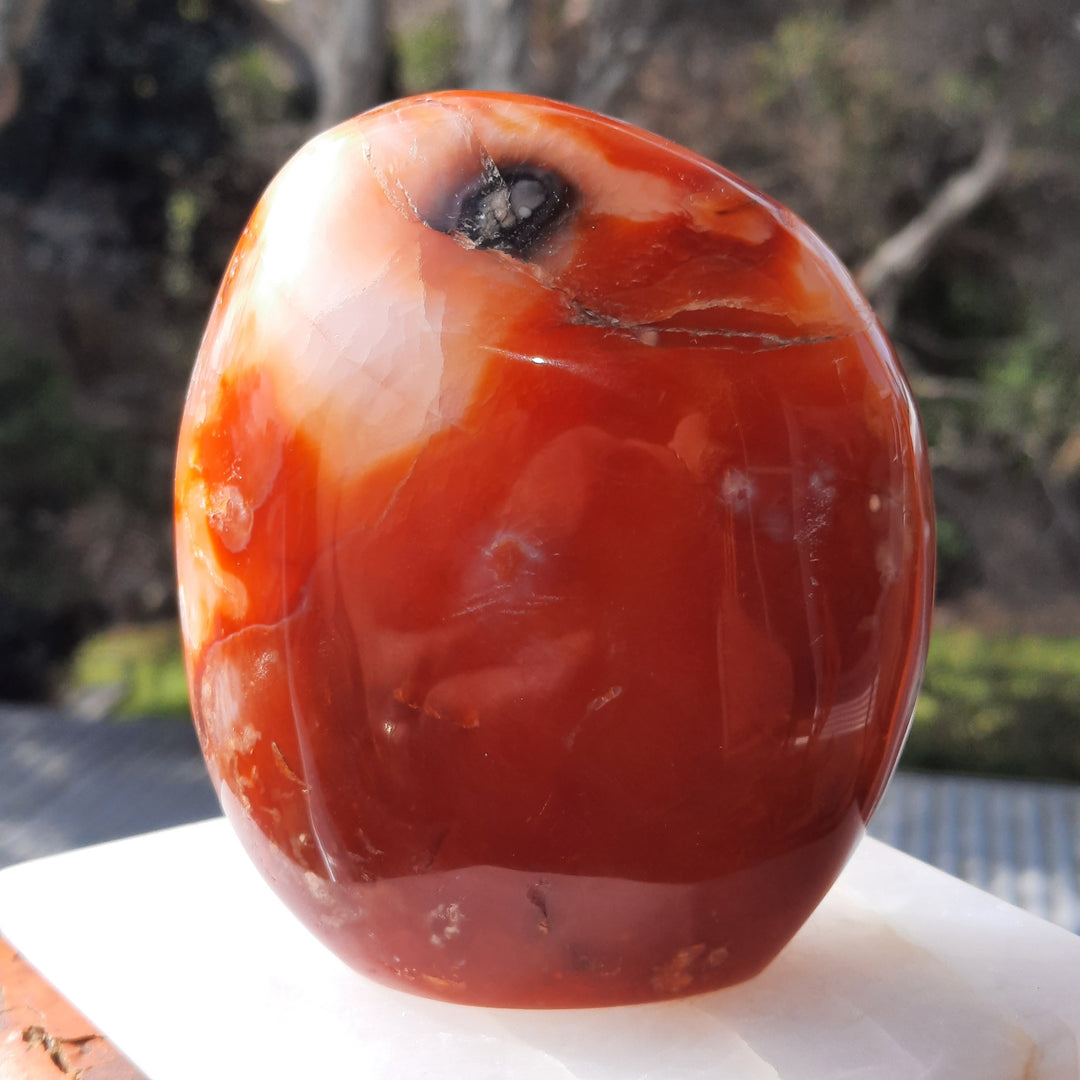 Carnelian (436 grams) STZ16