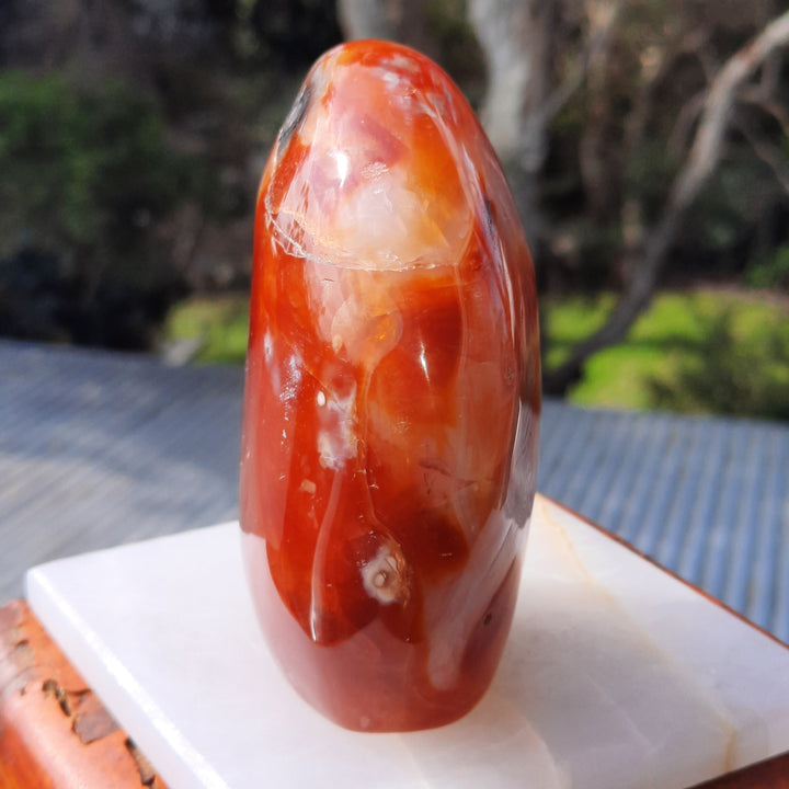 Carnelian (436 grams) STZ16