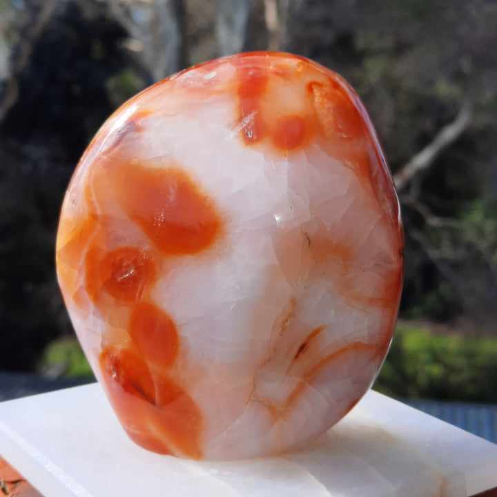 Carnelian (436 grams) STZ16