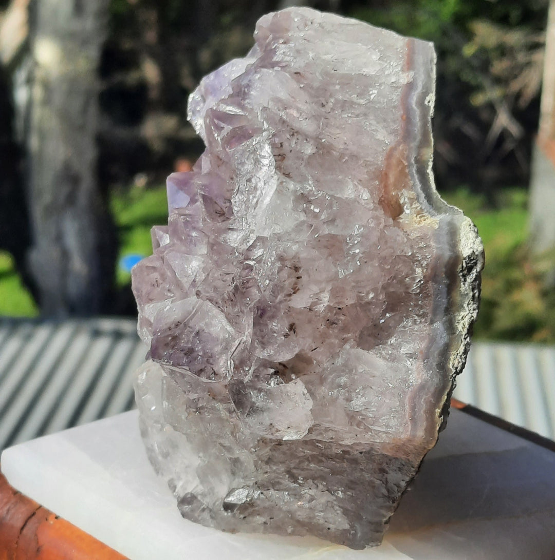 Amethyst Lilac Cluster (668g) STZ247