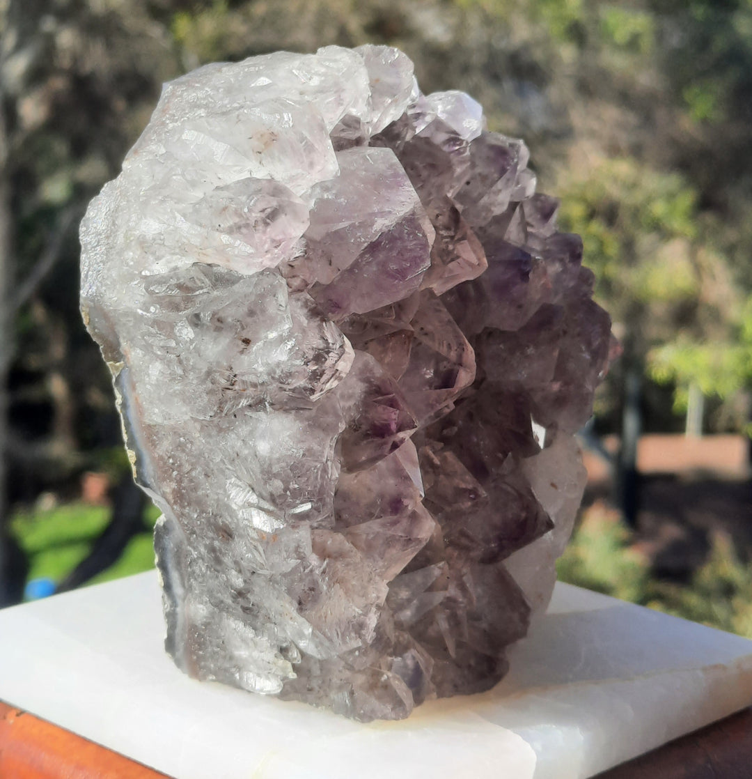 Amethyst Lilac Cluster (668g) STZ247