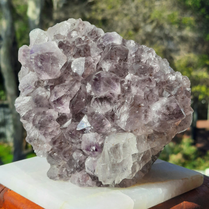 Amethyst Lilac Cluster (668g) STZ247