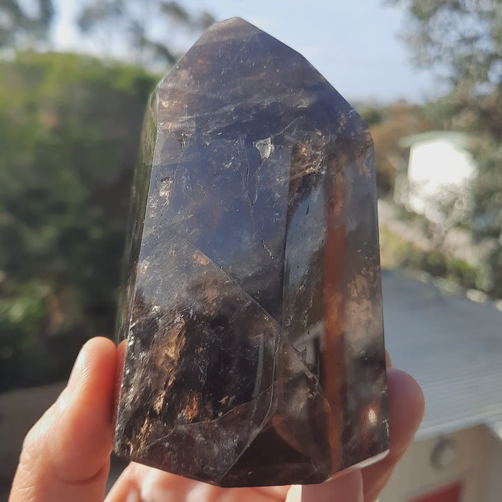 Smoky Quartz Point (610 grams) STZ562