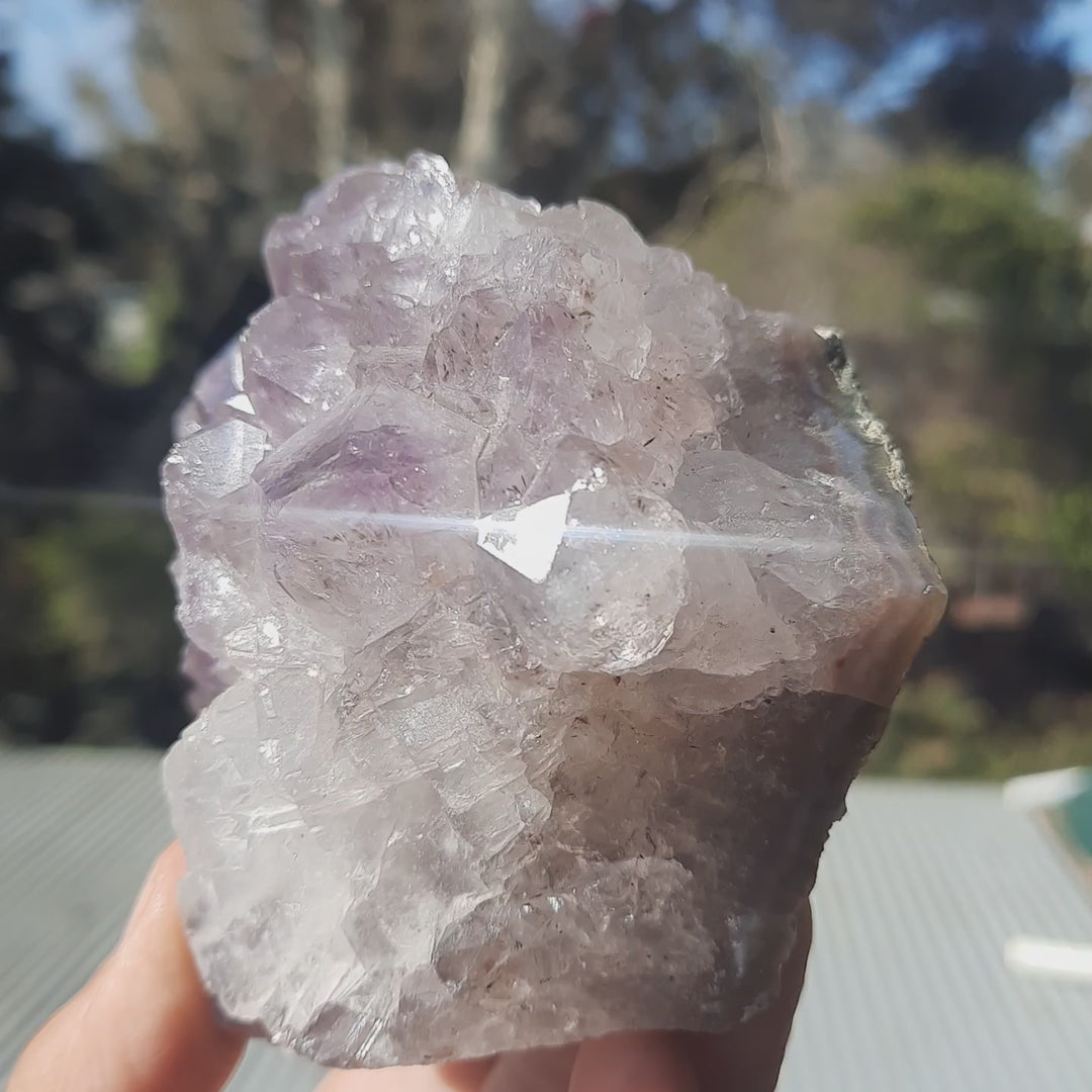 Amethyst Lilac Cluster (668g) STZ247