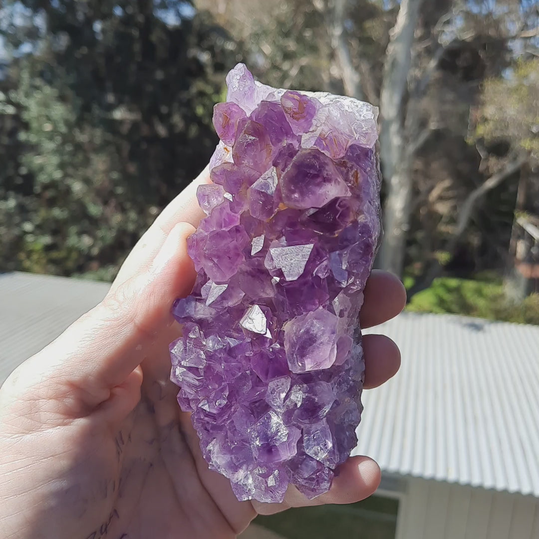 Amethyst Cluster (318g) STZ311