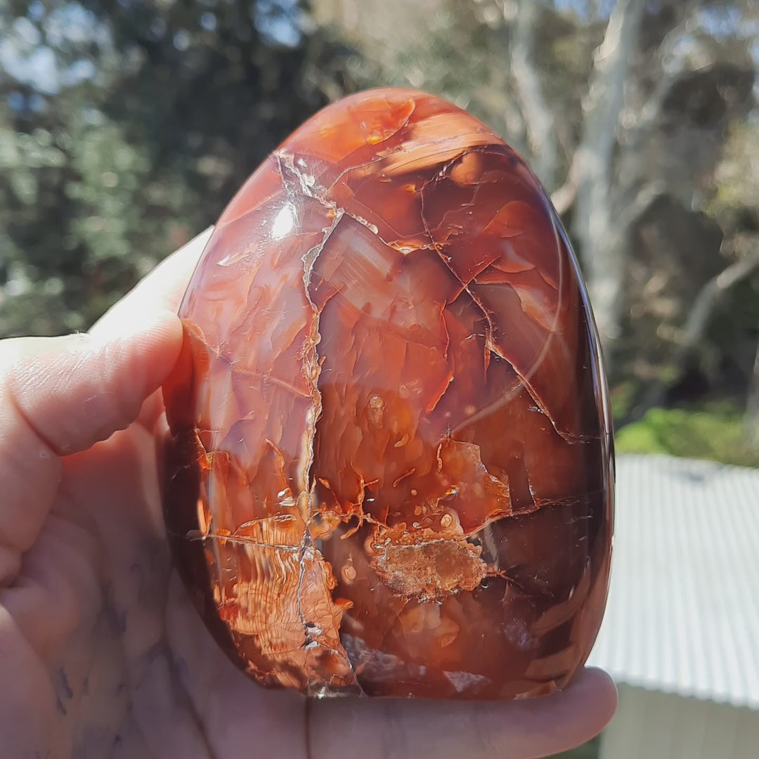 Carnelian Polished (570g) STZ561