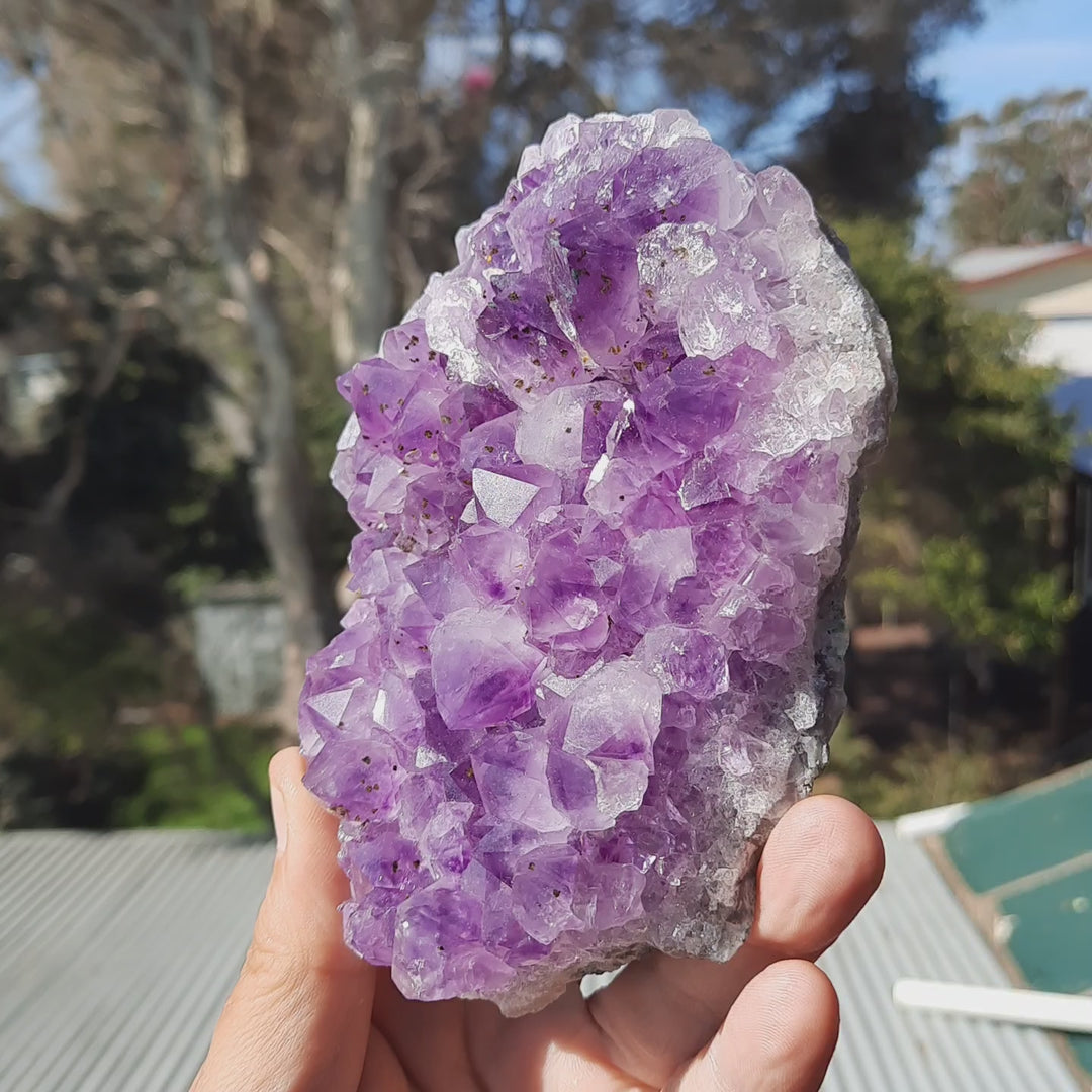 Amethyst Cluster (502g) STZ312