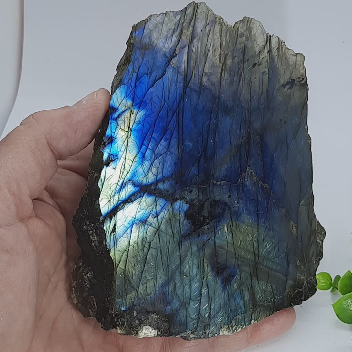 Labradorite (378 grams) STZ07