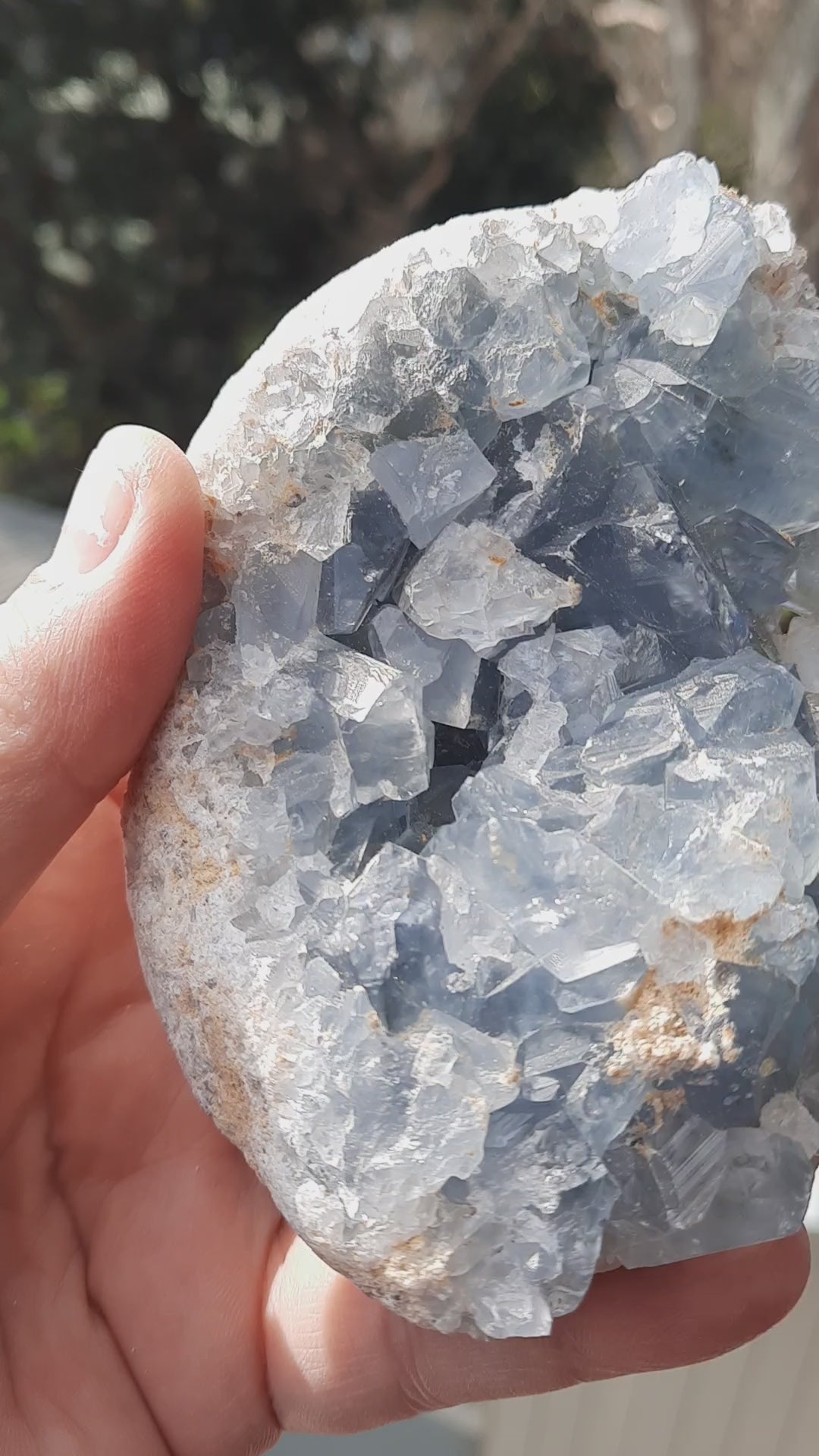 Celestite (655 grams)