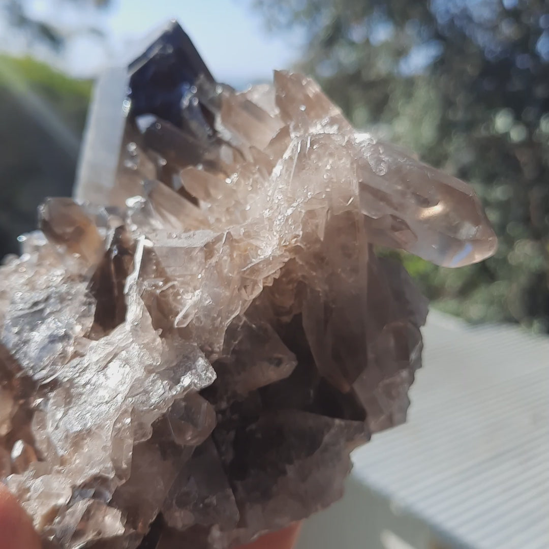 Smoky Quartz Cluster (1.147 kilograms) STZ891