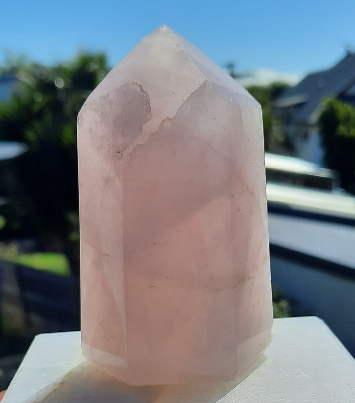 Rose Quartz Point (300g) STZ138