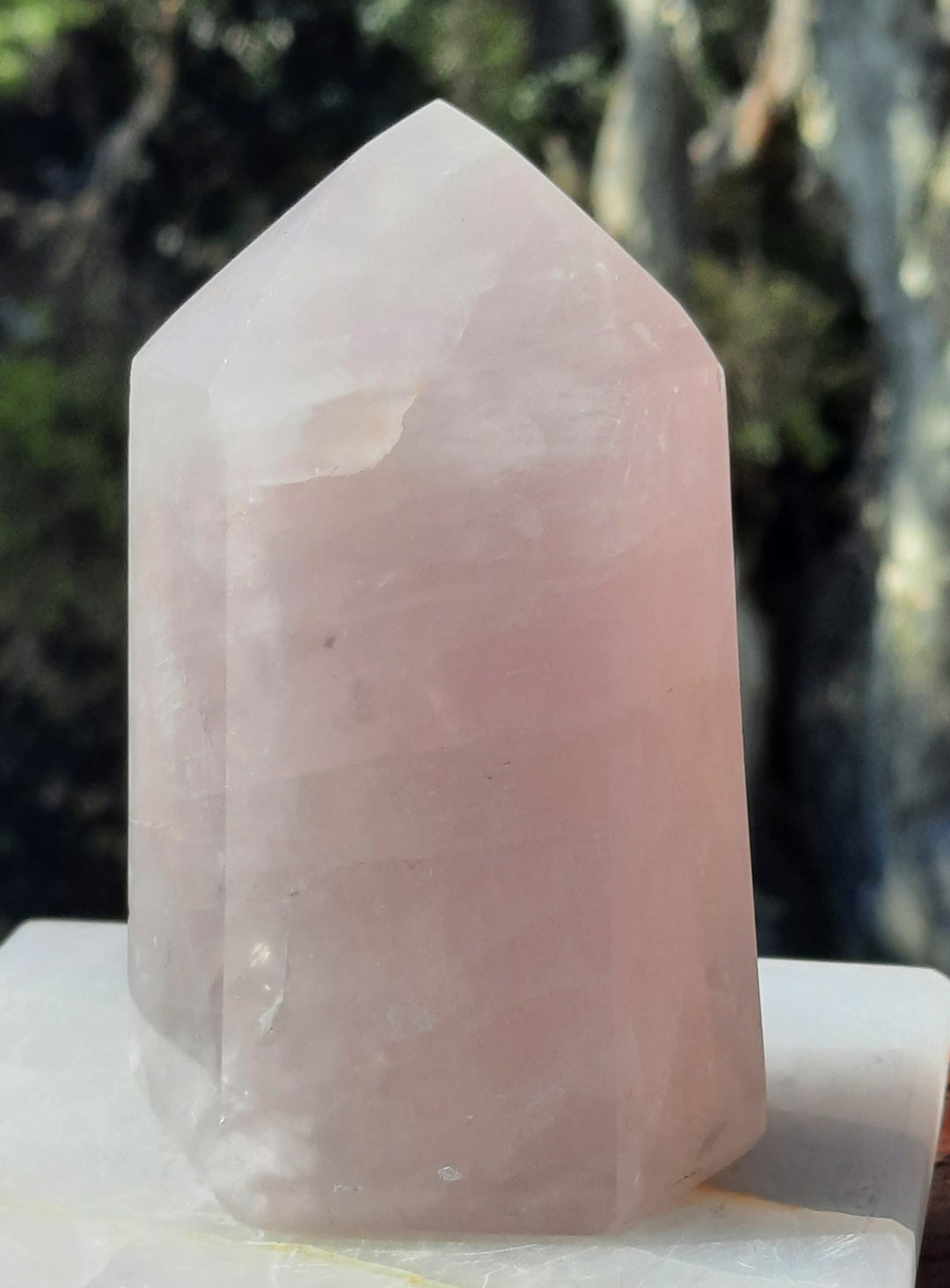 Rose Quartz Point (300g) STZ138