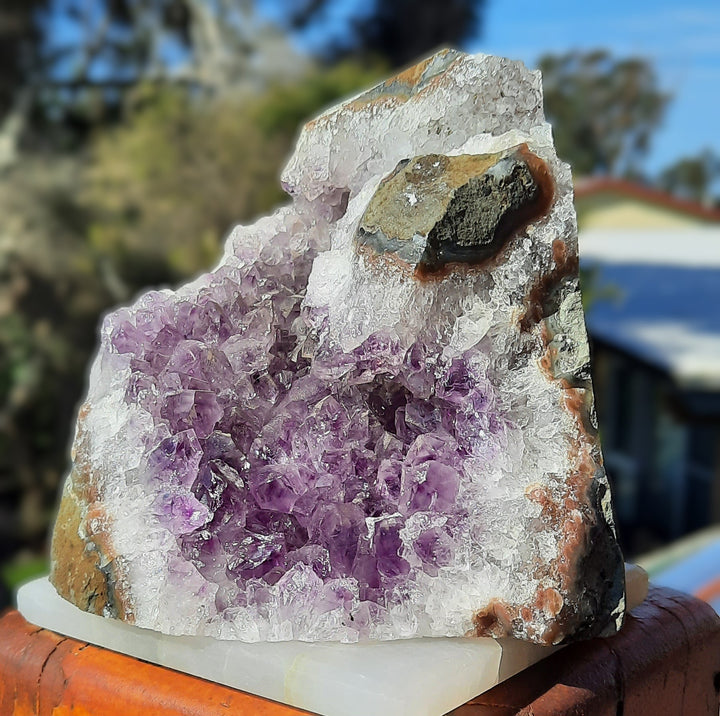 Amethyst Geode (1.128 kilograms) STZ375