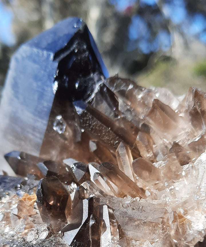 Smoky Quartz Cluster (1.147 kilograms) STZ891