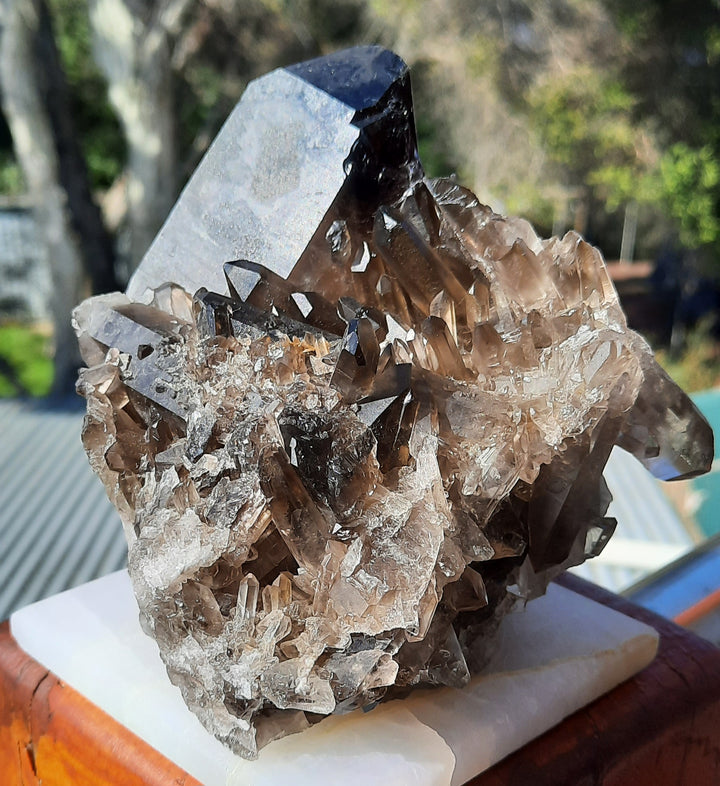 Smoky Quartz Cluster (1.147 kilograms) STZ891