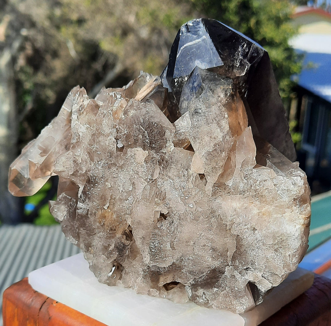 Smoky Quartz Cluster (1.147 kilograms) STZ891