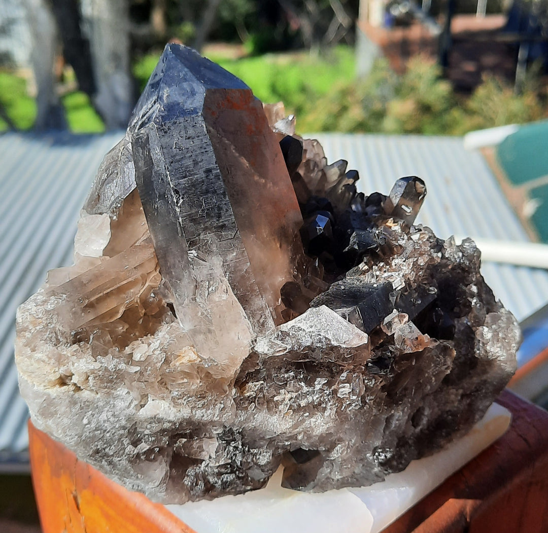 Smoky Quartz Cluster (1.147 kilograms) STZ891