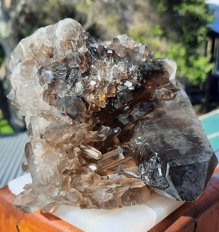 Smoky Quartz Cluster (1.147 kilograms) STZ891