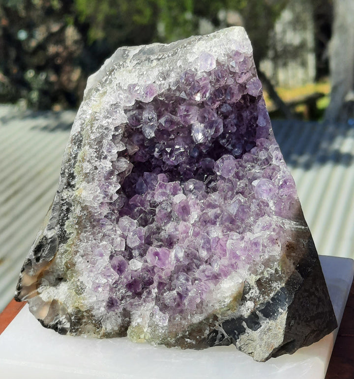 Amethyst Cluster (547g)STZ252